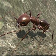 Скачать Ant Simulation 3D - Insect Survival Game - Мод много денег Русская версия 3.3.4 бесплатно apk на Андроид