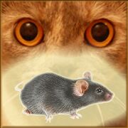 Скачать Мышь на экране для кота - Игры для кошек - Мод открытые уровни RUS версия 24.0 бесплатно apk на Андроид