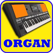 Electronic Organ, Piano, Guitar, violin, Drum Pad