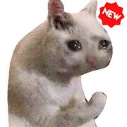 Новые смешные наклейки мем кошки WAStickerApps