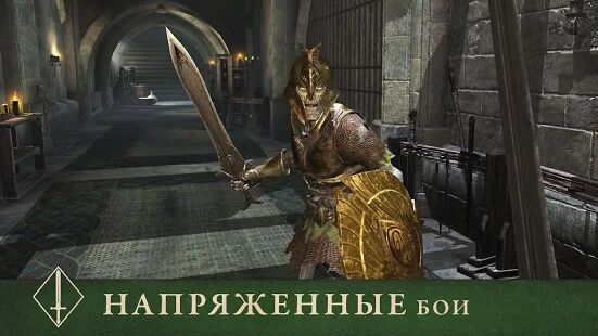 Скачать The Elder Scrolls: Blades - Мод безлимитные монеты Русская версия 1.13.0.1320225 бесплатно apk на Андроид