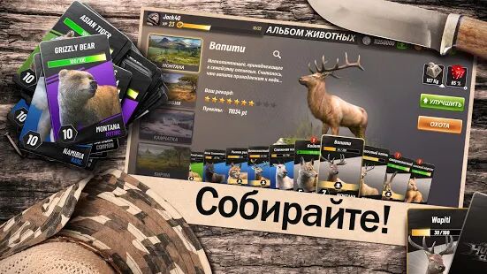 Скачать Hunting Clash: Охота на животных. Игра про охоту - Мод меню RU версия 2.37 бесплатно apk на Андроид