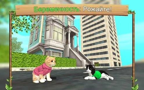 Скачать Симулятор Кошки Онлайн - Мод открытые покупки RUS версия 200 бесплатно apk на Андроид