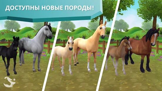 Скачать Star Stable Horses - Мод много денег RUS версия 2.83.1 бесплатно apk на Андроид