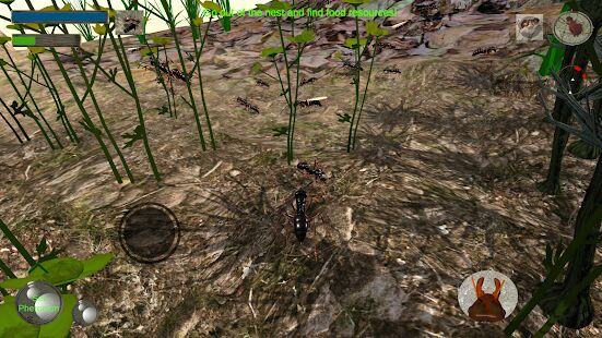 Скачать Ant Simulation 3D - Insect Survival Game - Мод много денег Русская версия 3.3.4 бесплатно apk на Андроид