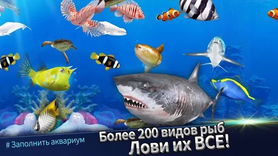 Скачать Fishing Rivals : Hook & Catch - Мод меню RUS версия 1.2.3 бесплатно apk на Андроид