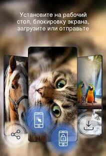 Скачать Красивые обои 4к - Разблокированная RUS версия 1.0.22 бесплатно apk на Андроид