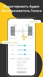 Скачать Диктофон - Запись звука голоса аудио & Звукозапись - Полная RU версия 1.5.5 бесплатно apk на Андроид
