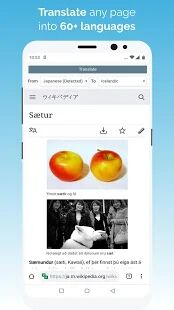 Скачать Kiwi Browser - Fast & Quiet - Полная Русская версия Git210216Gen570536402 бесплатно apk на Андроид