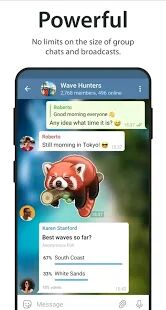 Скачать Telegramer - Максимальная RU версия 1.0.6 бесплатно apk на Андроид
