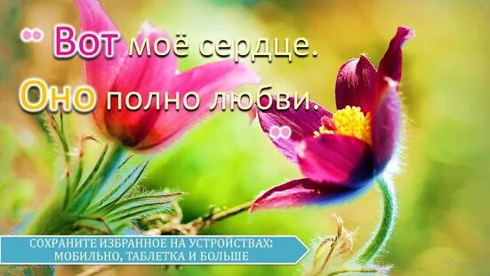 Скачать Русские любовные сообщения и любовные цитаты - Без рекламы RUS версия 4.18.02.2 бесплатно apk на Андроид